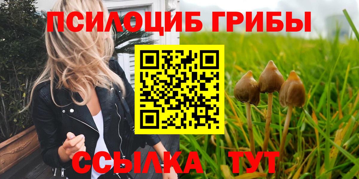 Рассказово  Галлюциногенные грибы Psilocybine cubensis  Псилоцибиновые грибы GOLDEN TEACHER  Вход с VPN 