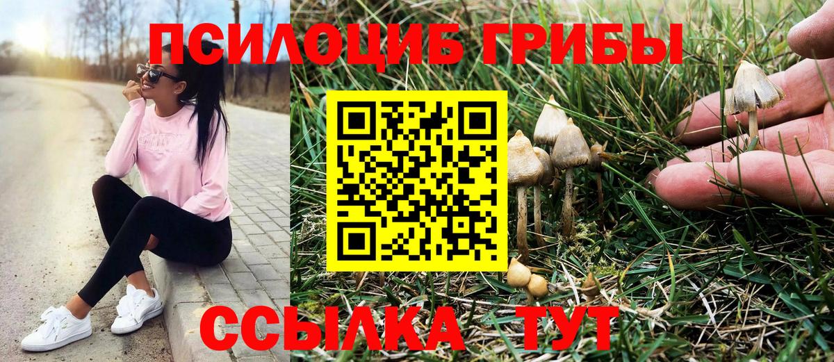Псилоцибиновые грибы MAGIC MUSHROOMS Рассказово